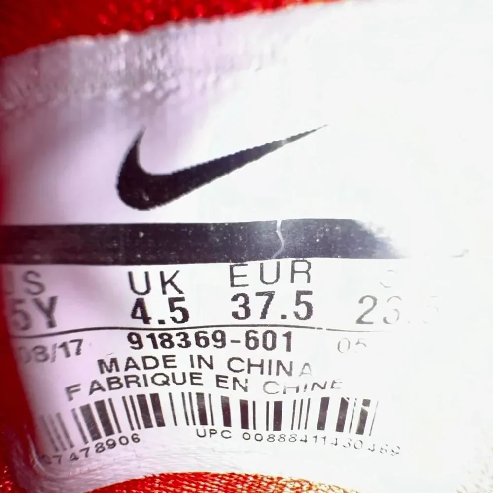 Nike lebron james